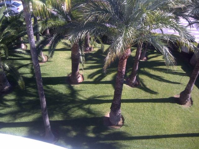 Apartment Martinez Casablanca Alcoceber Ngoại thất bức ảnh